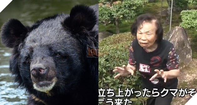 Bà Rumiko Sasaki kể lại câu chuyện đánh bại gấu