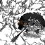 Dự đoán spoiler One Piece chap 1011 và tóm tắt nội dung chap 1010: Luffy học tuyệt chiêu mới từ Kaido, sẵn sàng đối đầu sinh vật mạnh nhất thế giới!