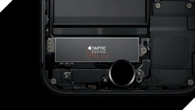 Camera Ultra Wide 48 megapixel trên iPhone 16 Pro và iPhone 16 Pro Max