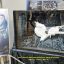 ESP giới thiệu “Wings of Creation” – Tác phẩm nghệ thuật kết hợp âm nhạc