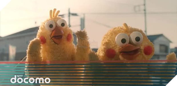 Cặp đôi anh em vẹt Poinko