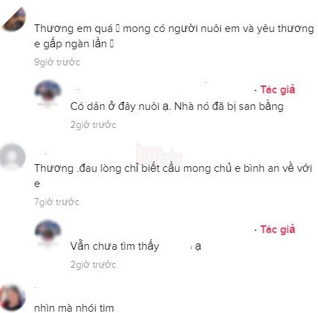 Cộng đồng mạng bày tỏ sự xúc động và thương cảm
