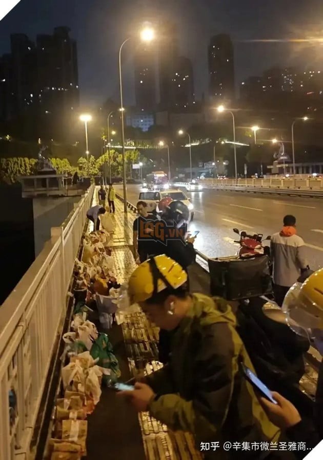 Cuộc sống khó khăn của Mèo Béo