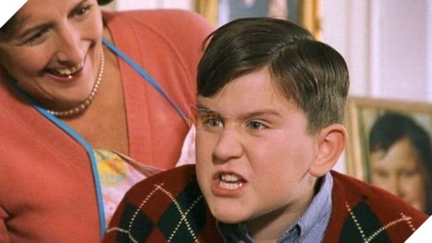 Dudley và Harry giữ liên lạc