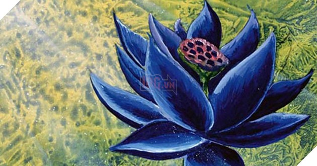 Giá trị sưu tầm và sức mạnh chiến thuật của Black Lotus