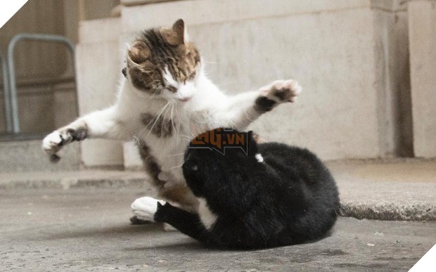 Hai cá tính mạnh gặp nhau thì bất đồng xảy ra là đương nhiên