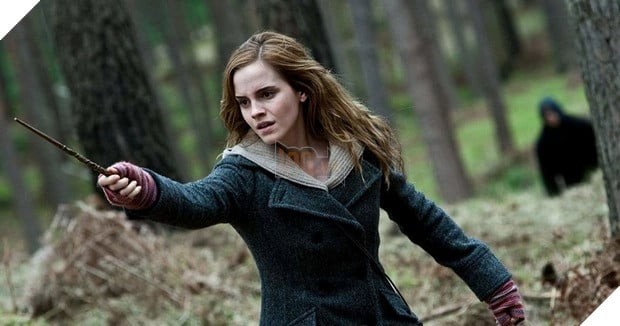 Hermione Granger và sự nghiệp tại Bộ pháp thuật