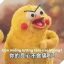 Khám phá Meme “Còn chút lương tâm nào không”: Từ Gia Đình Vẹt Poinko Đến Hiện Tượng Mạng