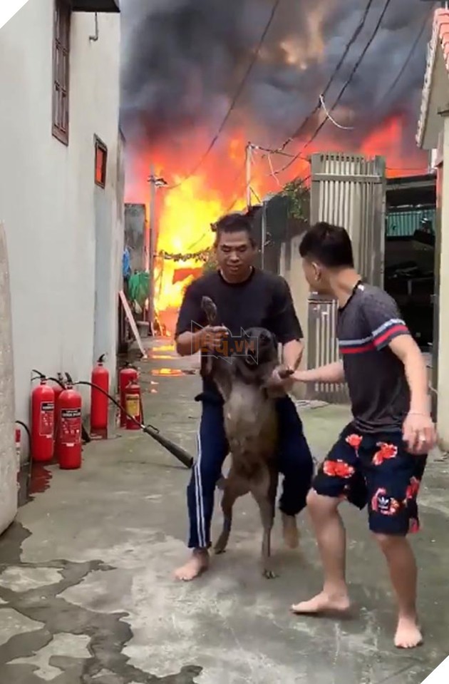 Khuôn mặt khá hớn hở