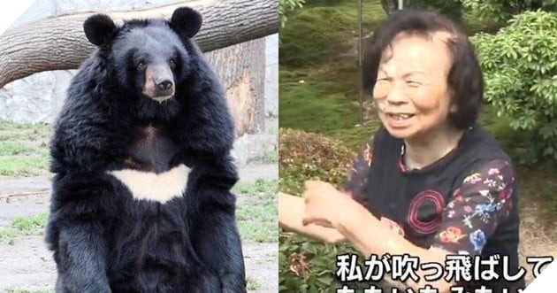 Kuma Rangers tuần tra khu phố