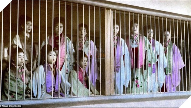 Khám Phá Kỹ Viện Trấn Trong Kimetsu No Yaiba: Phố Đèn Đỏ Và Những Bí Mật Thú Vị