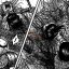 Dự đoán Spoiler Kingdom Chap 684 và Tóm tắt Nội dung Chap 683: Lôi Thổ Bị Bắt, Á Hoa Cẩm Hỗ Trợ Phi Tín Quân
