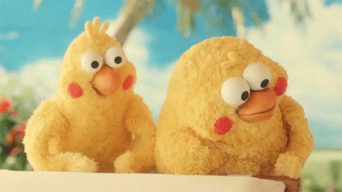 Lý do Poinko trở thành meme nổi tiếng