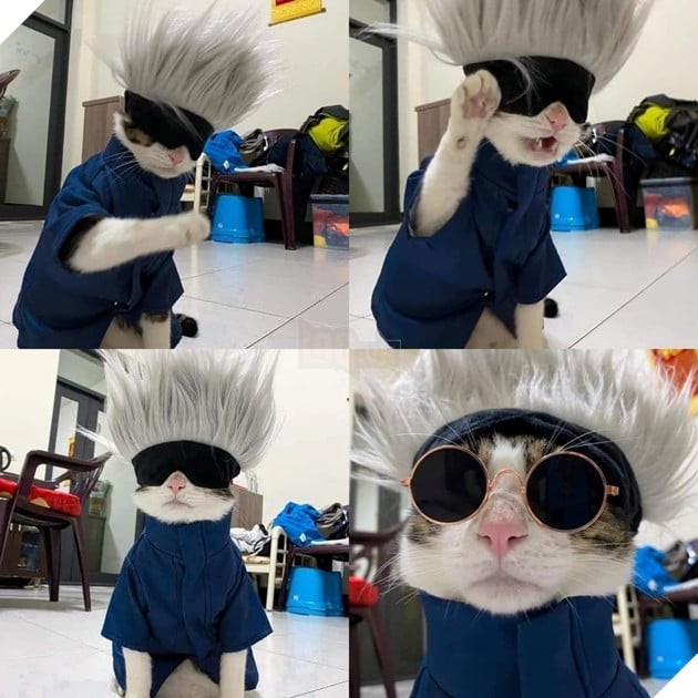 Mèo Cosplay Nhân Vật Anime: Hoàng Thượng Làm Gì Cũng Được