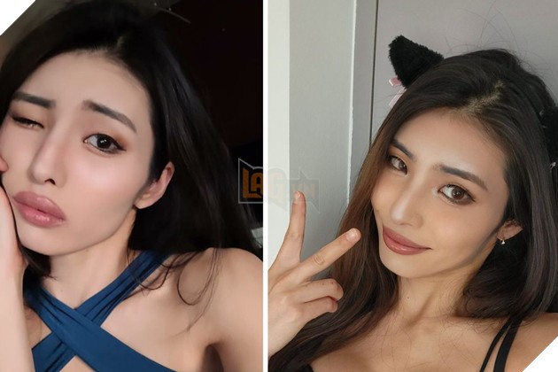 Meowko và cộng đồng