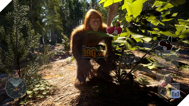Môi trường rừng núi trong Bigfoot Life