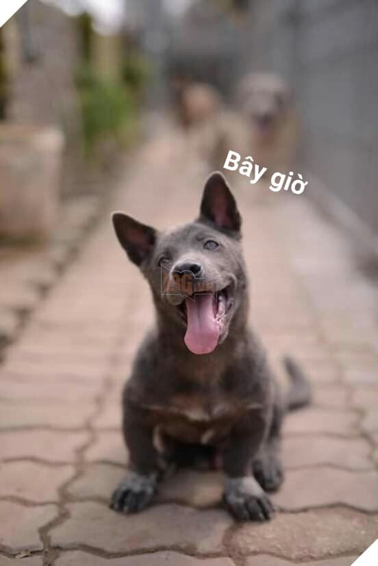 Nguyễn Văn Dúi vẫn giữ nguyên đôi mắt lé và nụ cười cute