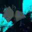 So Sánh Webtoon và Anime Solo Leveling: Phiên Bản Nào Chất Lượng Hơn?