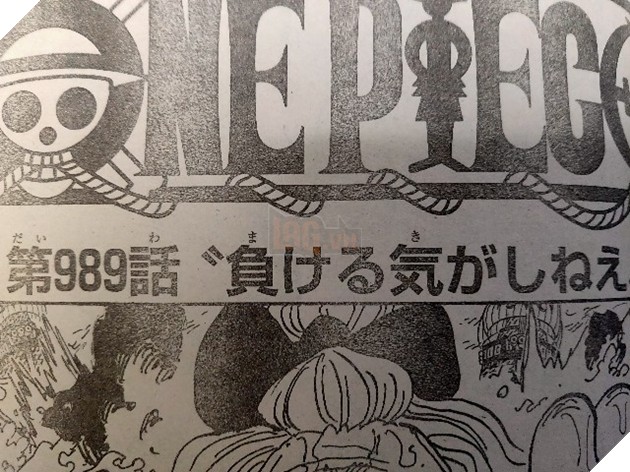 Chi tiết Spoiler One Piece tập 989: Cuộc chiến sắp tới giữa Luffy và Kaido