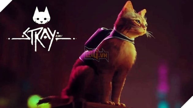 Stray: Hiện Tượng Game và Những Phiên Bản APK Trên Di Động