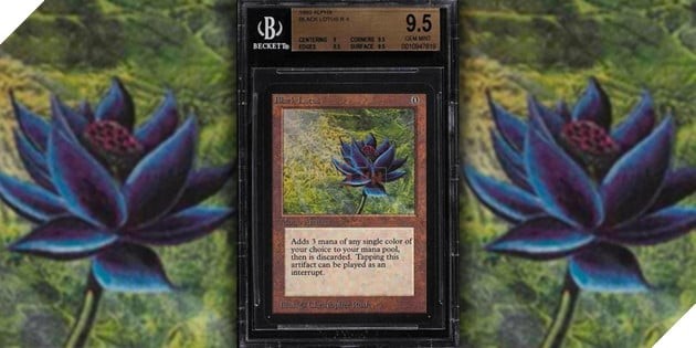 Thẻ Bài Black Lotus Được Đấu Giá Gần 13 Tỷ Đồng: Kỷ Lục Mới Trong Magic: The Gathering