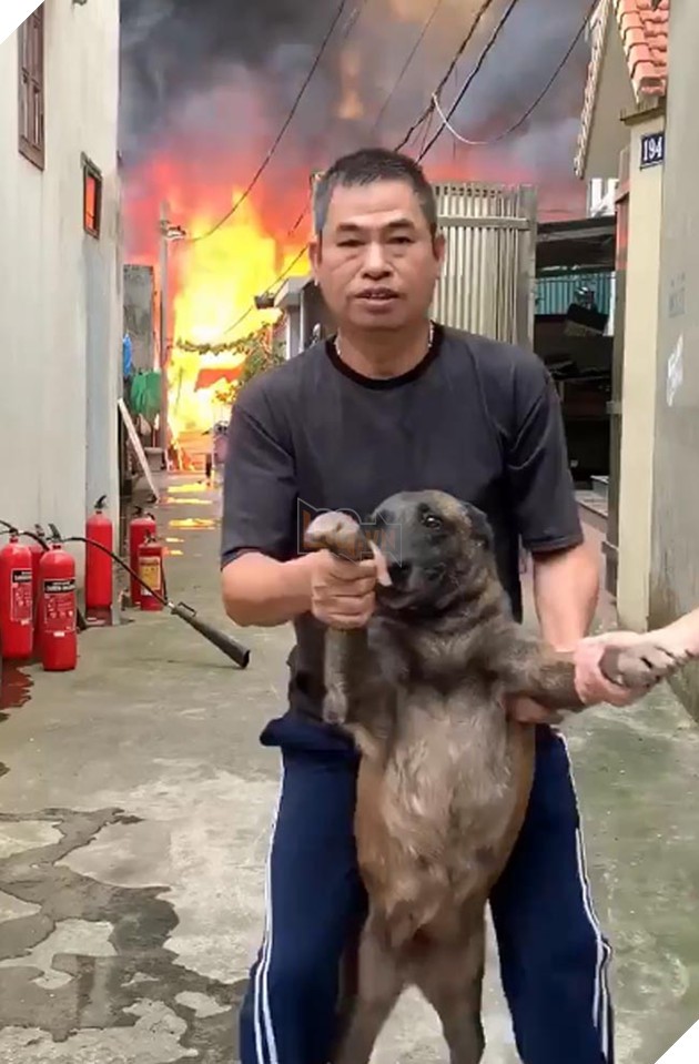 Vui như hội