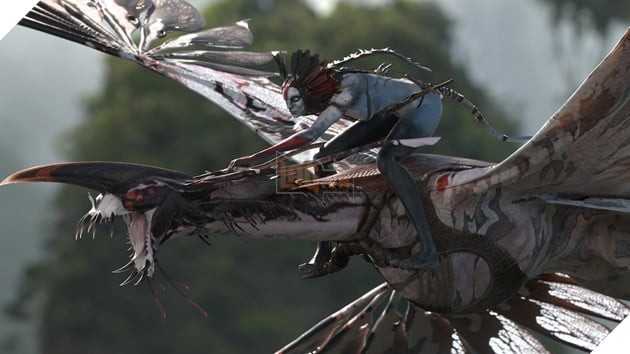 Vùng đất Pandora trong Avatar 3