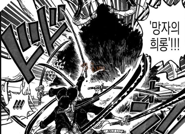 Zoro đối đầu Kaido